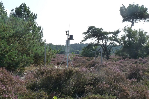 natuur brandgevaar metingen in de duinen van schoorl